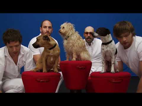 OK Go and the Muppets in a teaser frame for the Green Album campaign