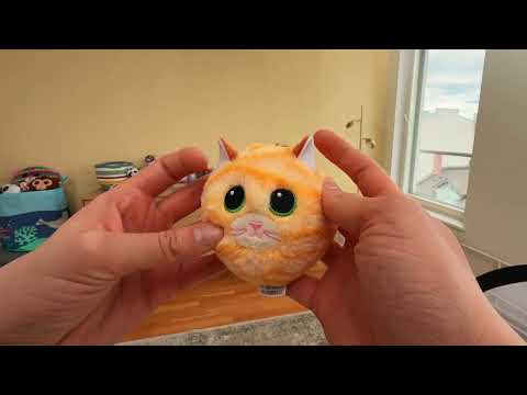 REVIEW - meet Purry, the Beanie Bouncer!  #ty #beaniebouncers