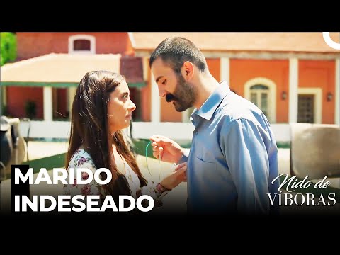 La Historia De Matrimonio De Elvan Y Feyyaz - Nido De Víboras