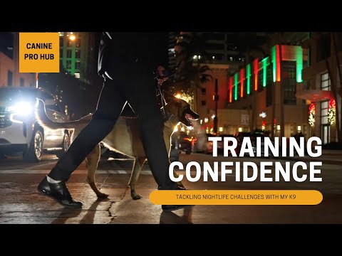 The Best Canine Pro Hub - Tackling Nightlife Challenges with my K9 Athena