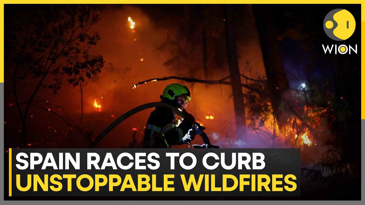 Europe Wildfires: Flames Rage Near Bordeaux And Madrid | WION News