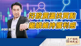 好股震盪找買點 繼續維持獲利感 (圖)
