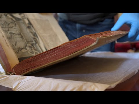 El viaje del Conocimiento. Un mundo de cosas maravillosas