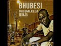 Bhubesi Uhlomekel Izinja Single Track From RealityDefinesMe EP