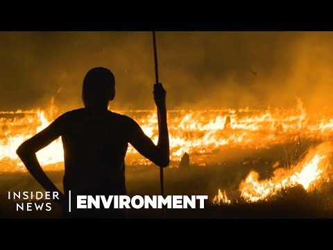 Aboriginal Tradition Could Prevent Bushfires in Australia