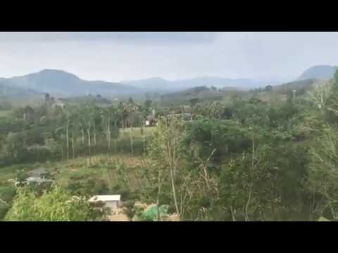 Big Land Plot for Sale with Beautiful Mountain Views in Phang Nga