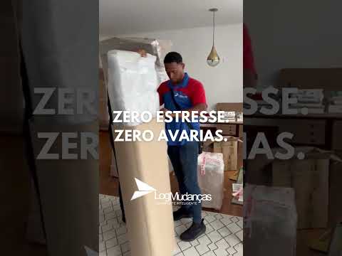 Vídeo vertical da Log Mudanças