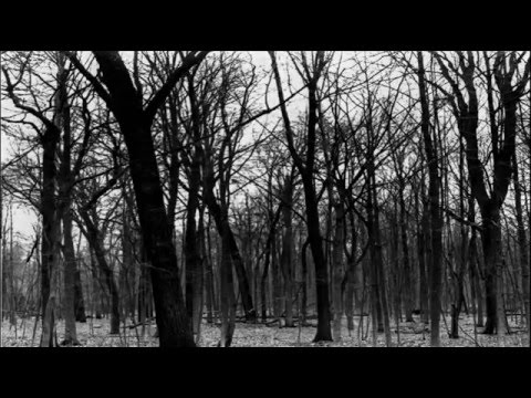 Depressive black metal #01 [Remastered]