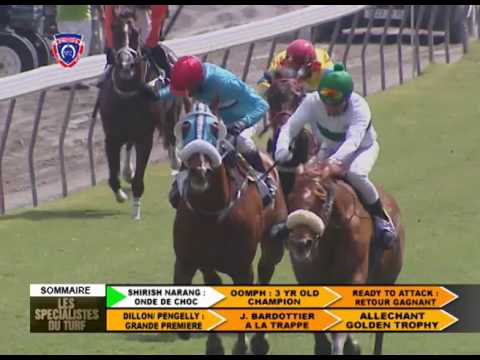 LES SPECIALISTES DU TURF - RACE MEETING 19 (02-08-17)