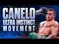 Canelo Alvarez ULTRA INSTINCT Head Movement