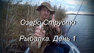 Рыбалка в белоруссии на озере