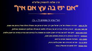 חדש! לפרשת שלח - ''אם יש בה עץ אם אין'' - הרב שלמה לוינשטיין שליט''א (הרב שלמה לוינשטיין) - התמונה מוצגת ישירות מתוך אתר האינטרנט יוטיוב. זכויות היוצרים בתמונה שייכות ליוצרה. קישור קרדיט למקור התוכן נמצא בתוך דף הסרטון חדש! לפרשת שלח - ''אם יש בה עץ אם אין'' - הרב שלמה לוינשטיין שליט''א (הרב שלמה לוינשטיין) - התמונה מוצגת ישירות מתוך אתר האינטרנט יוטיוב. זכויות היוצרים בתמונה שייכות ליוצרה. קישור קרדיט למקור התוכן נמצא בתוך דף הסרטון