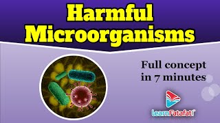 Harmful Microorganisms | Class 8 Chapter 2 Microorganisms Friend and Foe | CBSE - LearnFatafat