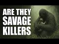 Is Sasquatch A Savage Killer
