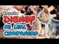 MI LEAL COMPAÑERO Reseña Disney Episodio 53