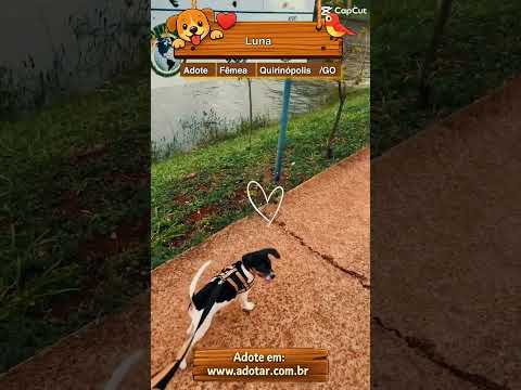 Vídeo de Luna