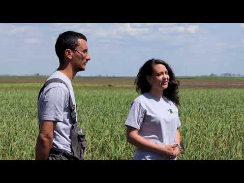 Domaćine kako radiš 10.05.2021. Proizvodnja belog luka, Klek, Sakule