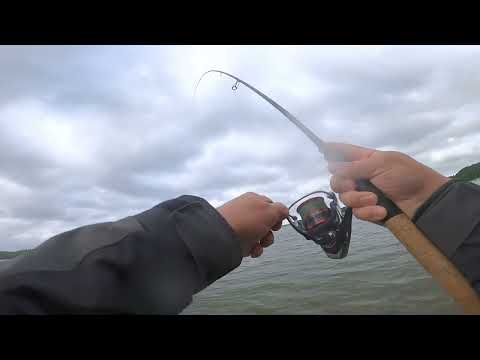 Seatrout 🐟 fishing during summertime ⛅️ on the 🇩🇰 coast