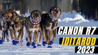 Photographing the 2023 Iditarod with the Canon R7 and Running with the Reindeer !