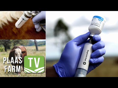 WITWARM NUUS! Design Biologix mag as agent vir BEK-entstof optree