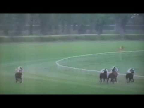 Nagroda Strzegomia - 1.05.1994 - Limak (Dixieland - Limeira)