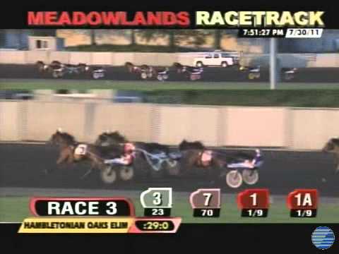 2011 Hambletonian Oaks Elim #1 - theharnessedge.com