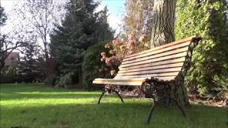 Carla Bruni - Perfect Day