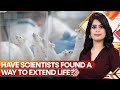 Gravitas New Miracle Drug Boosts Lifespan Fights Aging Effects On Mice New Study