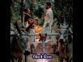 Santhaikku Vantha Kili Tamil Song Status