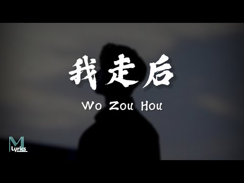 en - Wo Zou Hou (我走后) Lyrics 歌词 Pinyin/English Translation (動態歌詞)