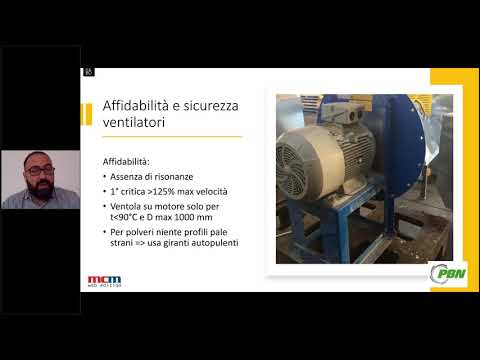 Diego Perfettibile - PBN