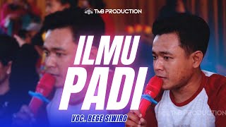 Download lagu LAGU JARANAN TERBARU ! ILMU PADI - BEGE SIWIRO COVER PANJAK GAYENG TMB PRODUCTION mp3 Download lagu LAGU JARANAN TERBARU ! ILMU PADI - BEGE SIWIRO COVER PANJAK GAYENG TMB PRODUCTION mp3