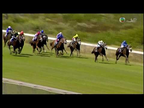 2019 The Cts 1600 (Non Black Type) - One World (統一世界) - A.Marcus