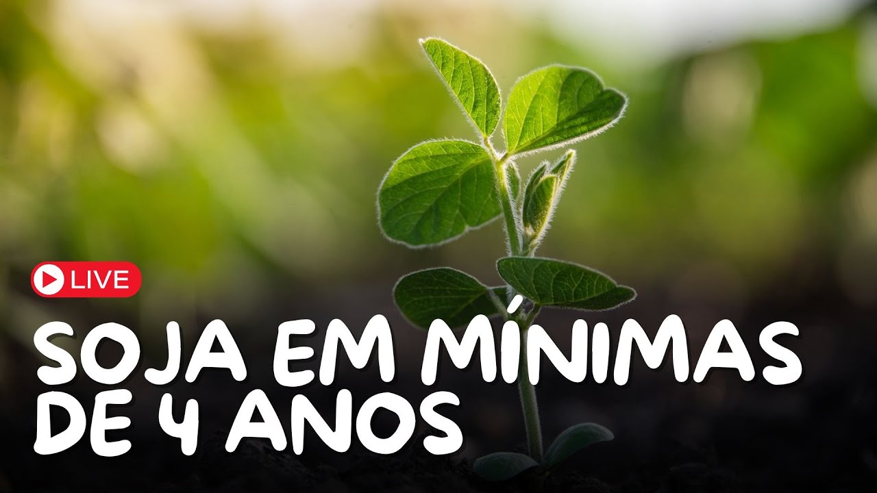 19/12 - 1ª HORA DO AGRO #588 - SOJA EM MÍNIMAS DE 4 ANOS