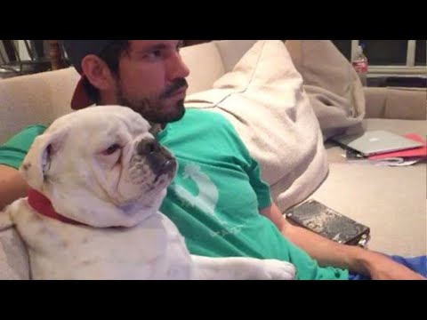 Lorsque vous et votre chien faites des bêtises ensemble