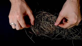 Hiss Golden Messenger - Terms of Surrender