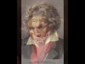 Beethoven- Piano Sonata No. 2 in A major, Op. 2 No. 2- 4th mov. Rondo: Grazioso
