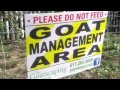Goats Gobble Up At Protest