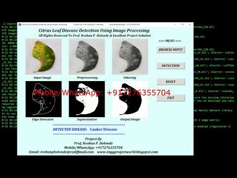 Citrus Plant Disease Classification Using Image Processing Python Project With Source Code
