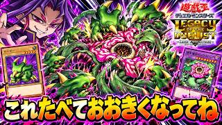 本日のエースカード→捕食植物キメラフレシア【遊戯王デュエルモンスターズレガシーオブザデュエリスト】