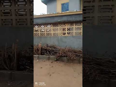 Block of 10 Flats for Sale at Isiba-Oluwo Unity Estate, Egbeda