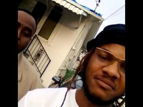 Magnolia chop & Squattyr