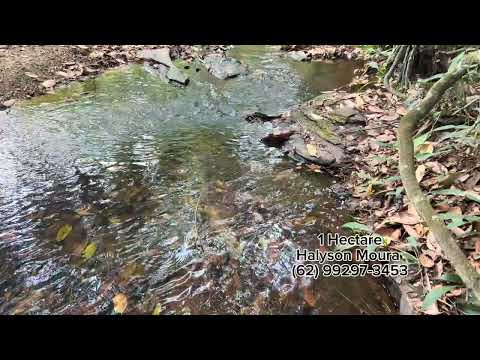 Chacara de 1 hectare rica em água com chalé R$ 185.000,00