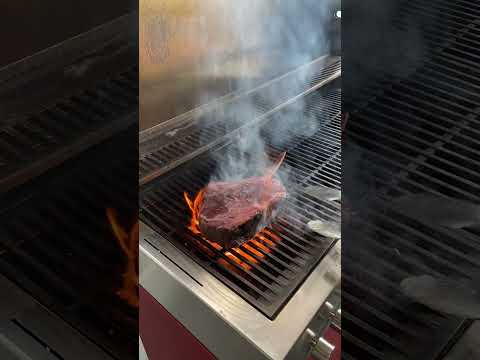 800+ °C vom Flammkraft Block D Infrarotbrenner  #shorts #steak