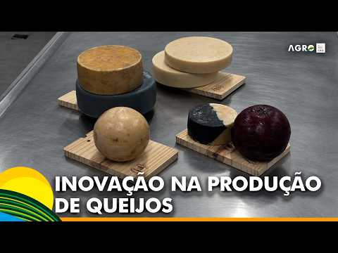 Projeto ajuda agroindústrias a produzir queijos finos em Toledo (PR)