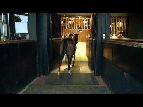 2020 Deauville Select Sale