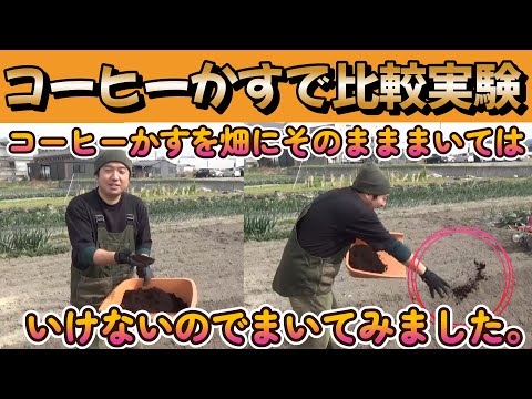 コーヒーかすはブーゲンビリアに適していますか?植物に肥料を与えるための最良のヒント  庭園