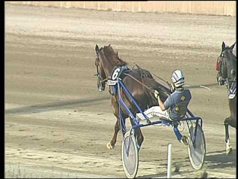 Trotto 27/05/2016 - 7° corsa