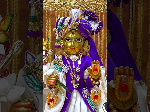 Harikrushna Maharaj