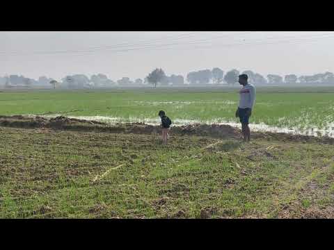 My little champ 🧿🧿❤️❤️😄😄#viral shorts #youtube #nature.………